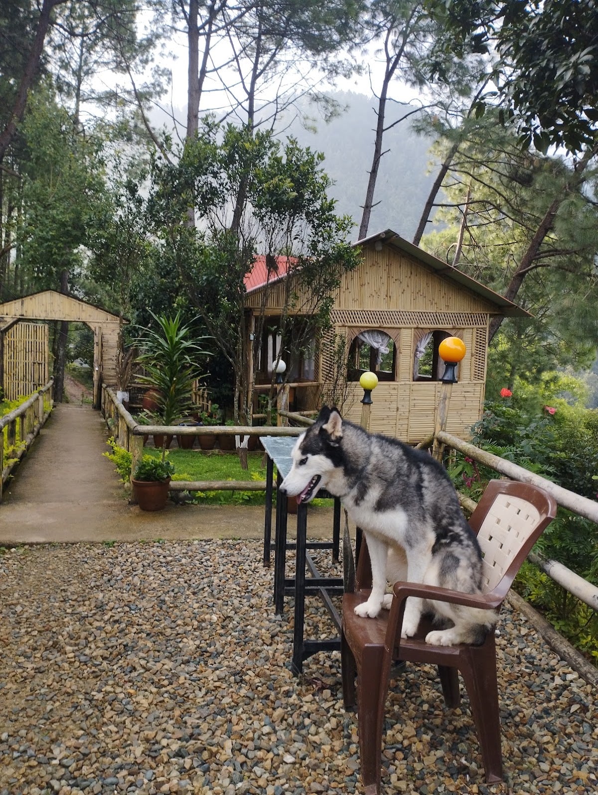 Khudkila Resort — photo by Khudkila Resort