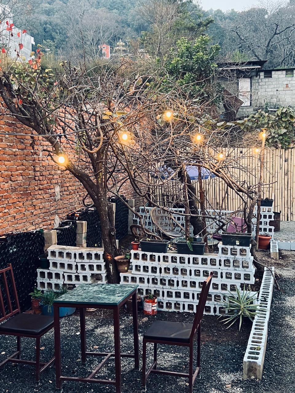 KIMCHI - The Asian Cuisine & Beer Garden — photo by KIMCHI - The Asian Cuisine & Beer Garden