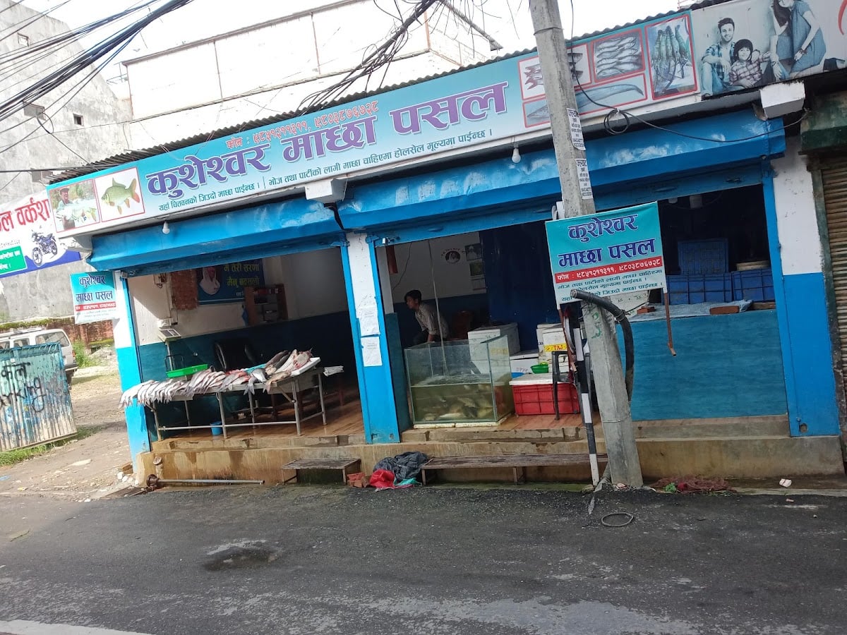 Kusheswar machha pasal (FISH SHOP) — photo by Morphine Manish
