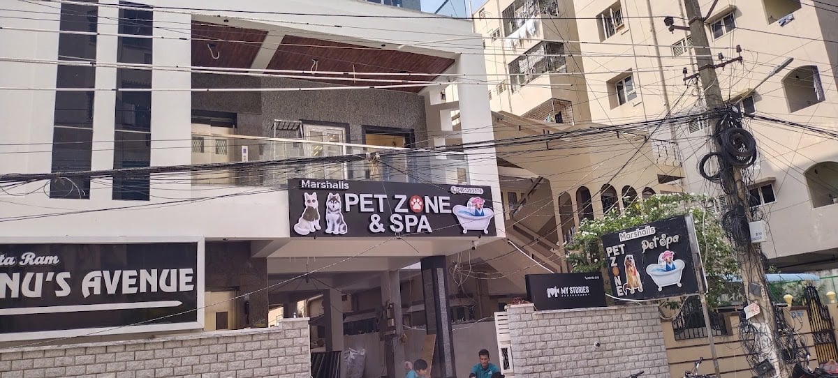 Marshalls Pet Zone n Pet Grooming n Spa — photo by Marshalls Pet Zone n Pet Grooming n Spa