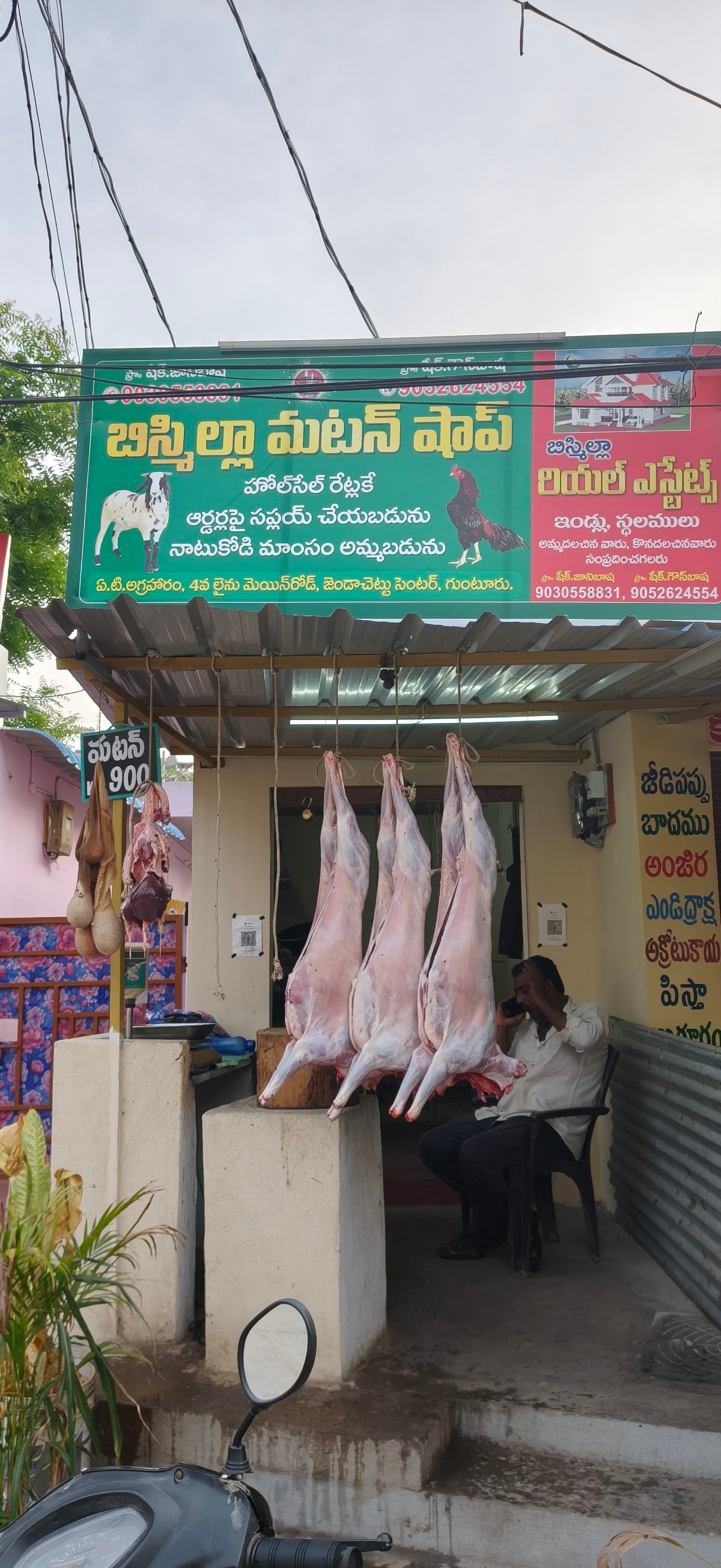 Meghana Pet Mart — photo by SHAIK GOUSE BASHA