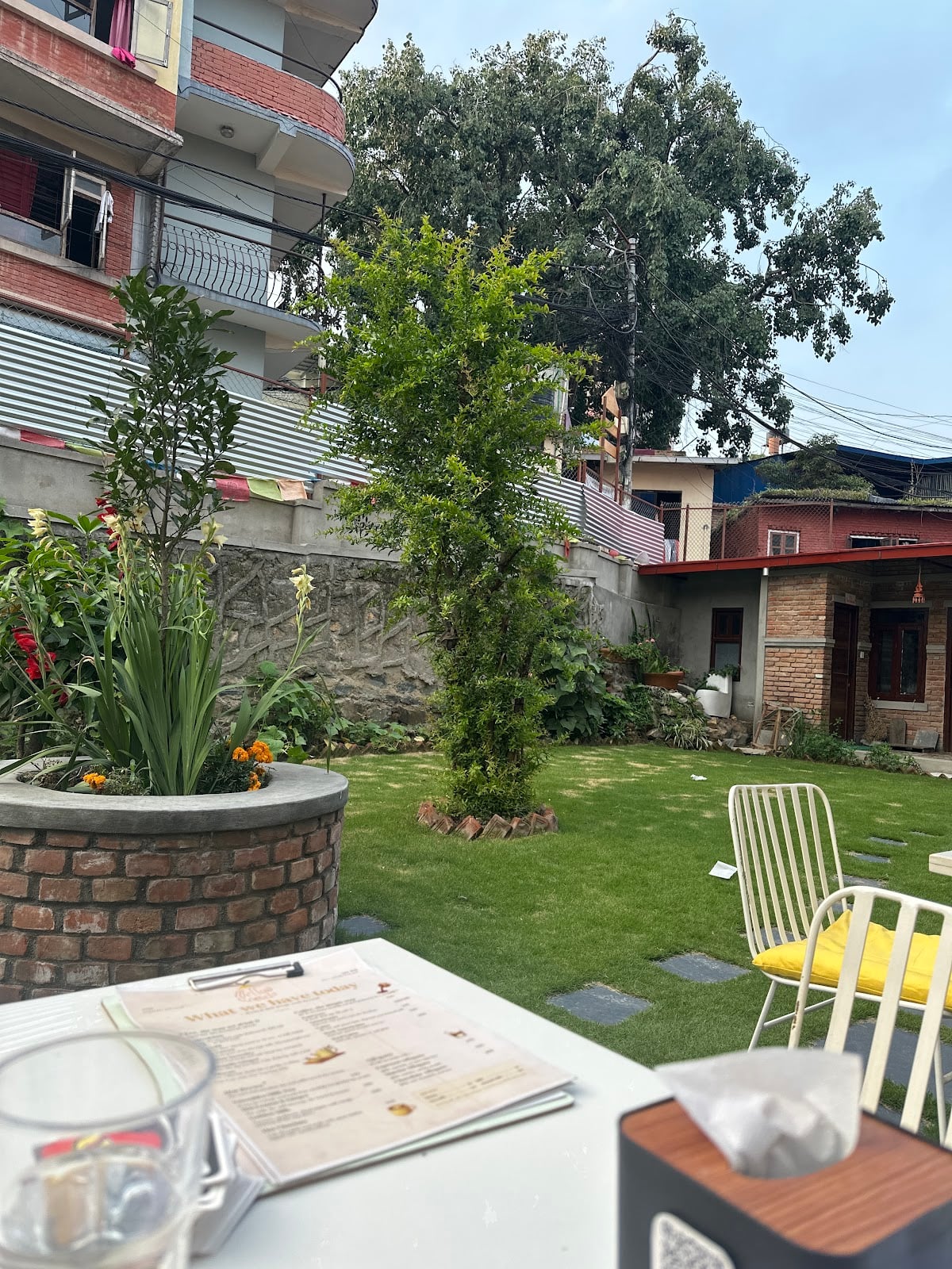 Mellow Pomelo - The Garden Cafe — photo by Nishan Karki