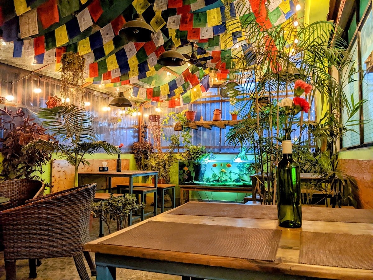 Mozart Cafe — photo by Sujin Joshi