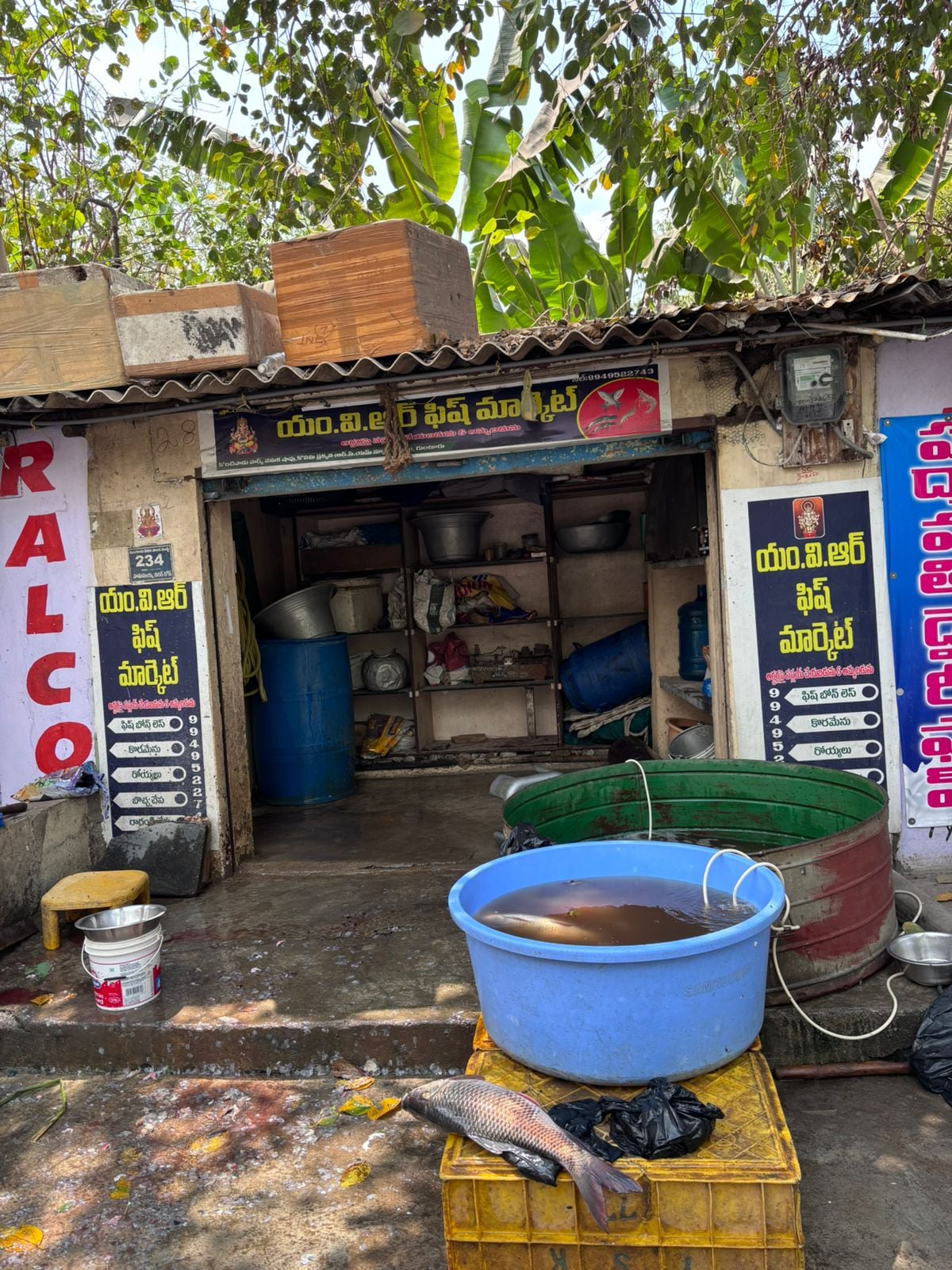 MVR FISH MARKET — photo by MVR FISH MARKET