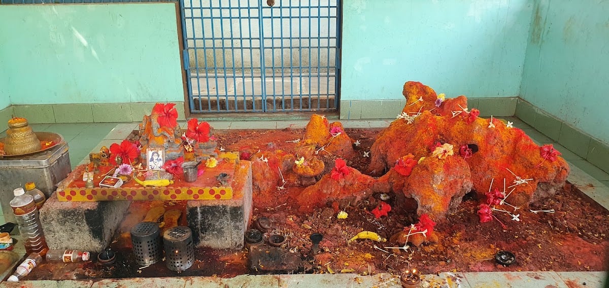 Nagendra Swamy Putta — photo by Viral Vogue Telugu