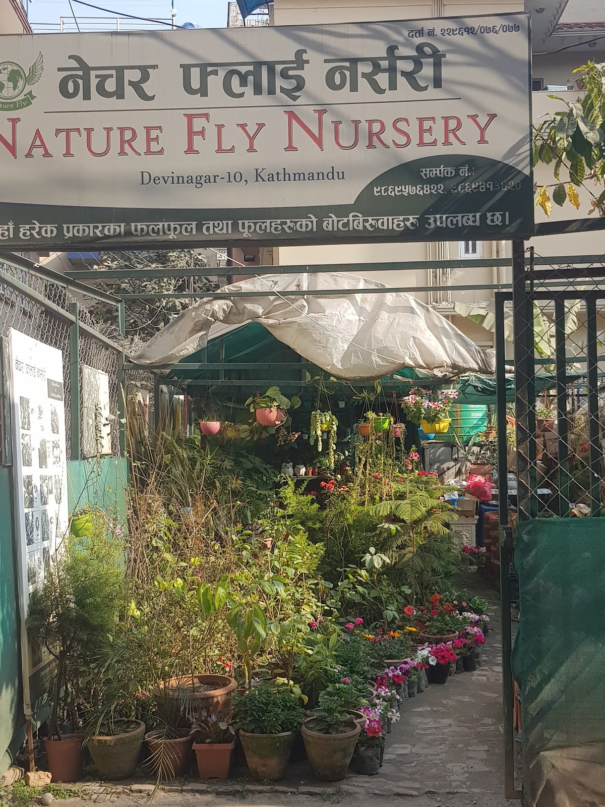 Nature fly Nursery — photo by Santosh Panthi