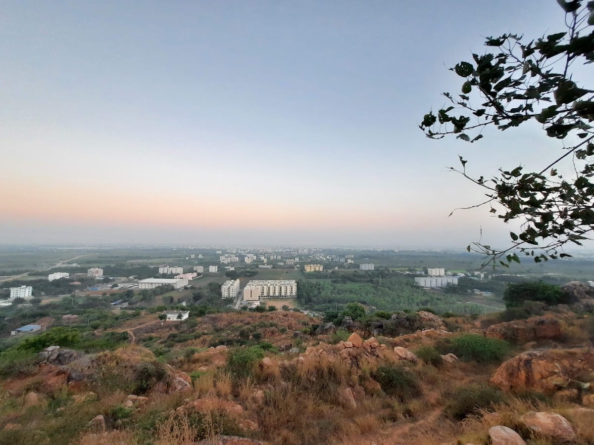 Pedda palakaluru — photo by Sai Sandesh