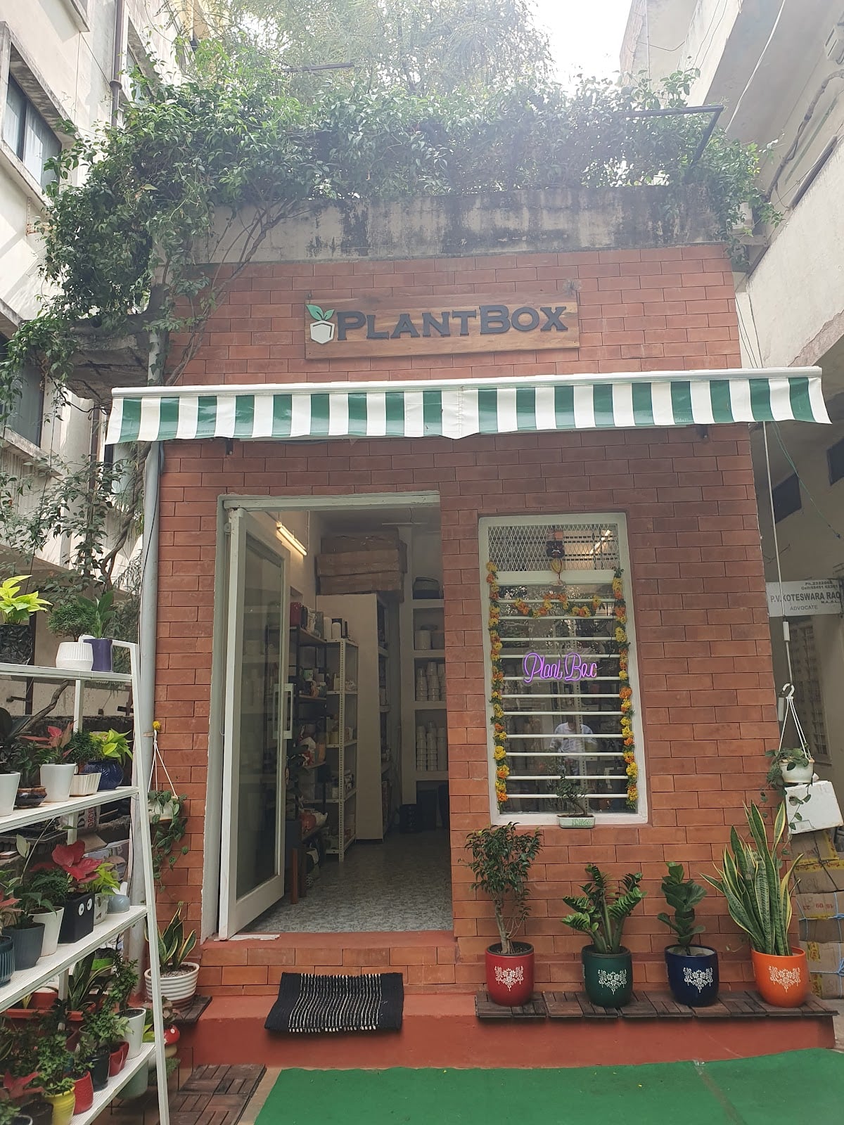 Plant Box — photo by Dimmy Gnt