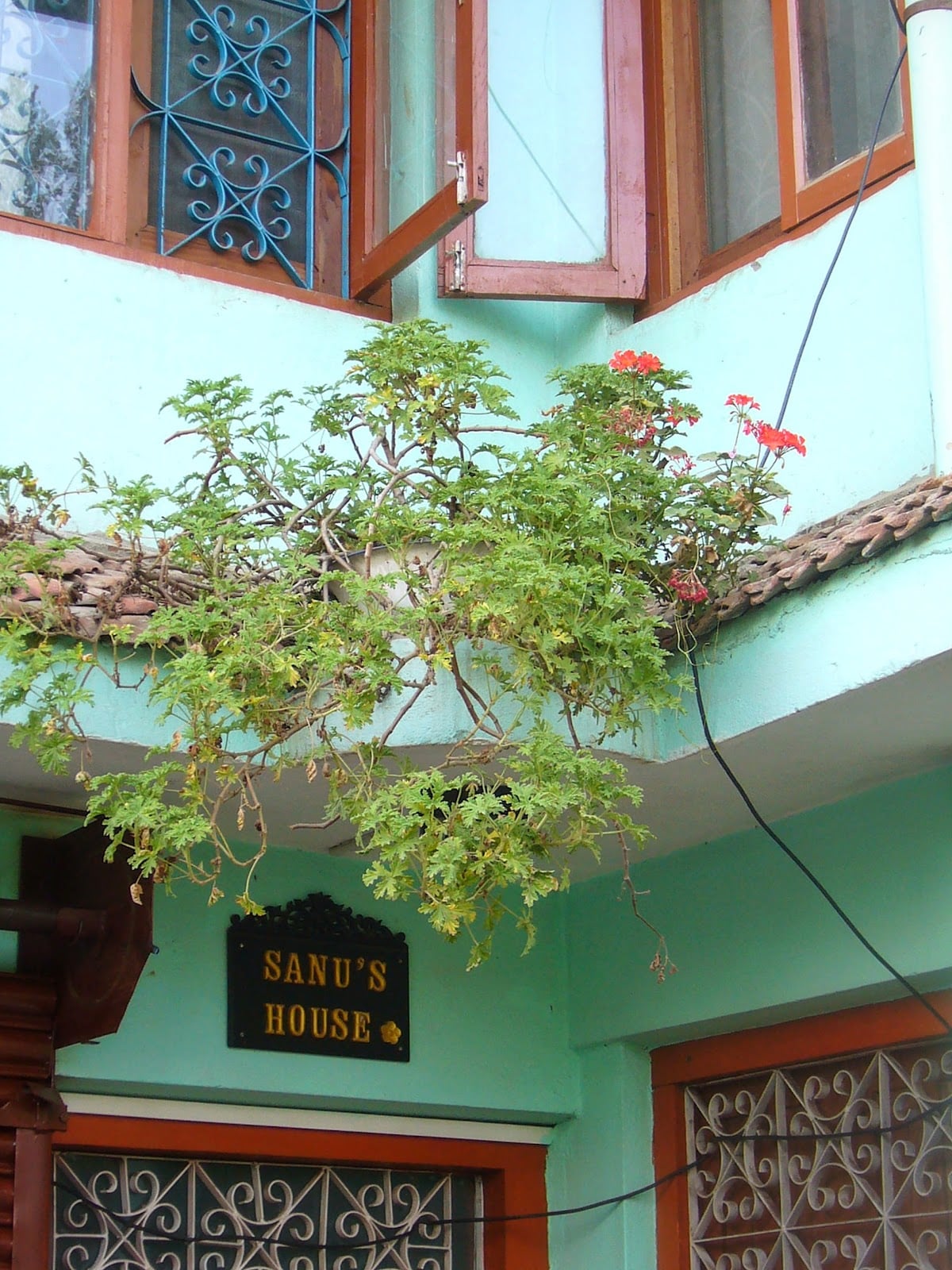 Sanu's House — photo by Sanu's House