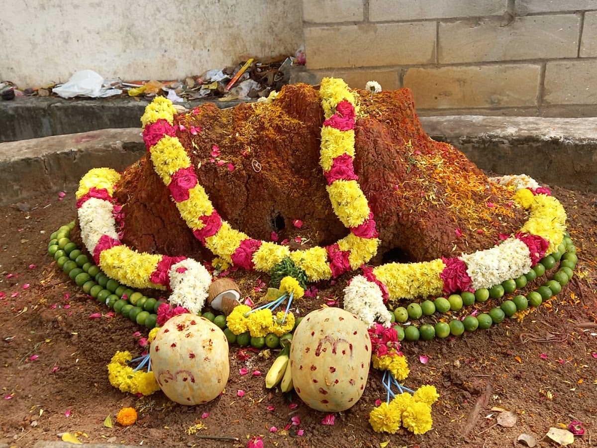 SRI HARIHARA BALA NAGENDRA SWAMY PUTTA DEVASTHANAM — photo by Bhavitha