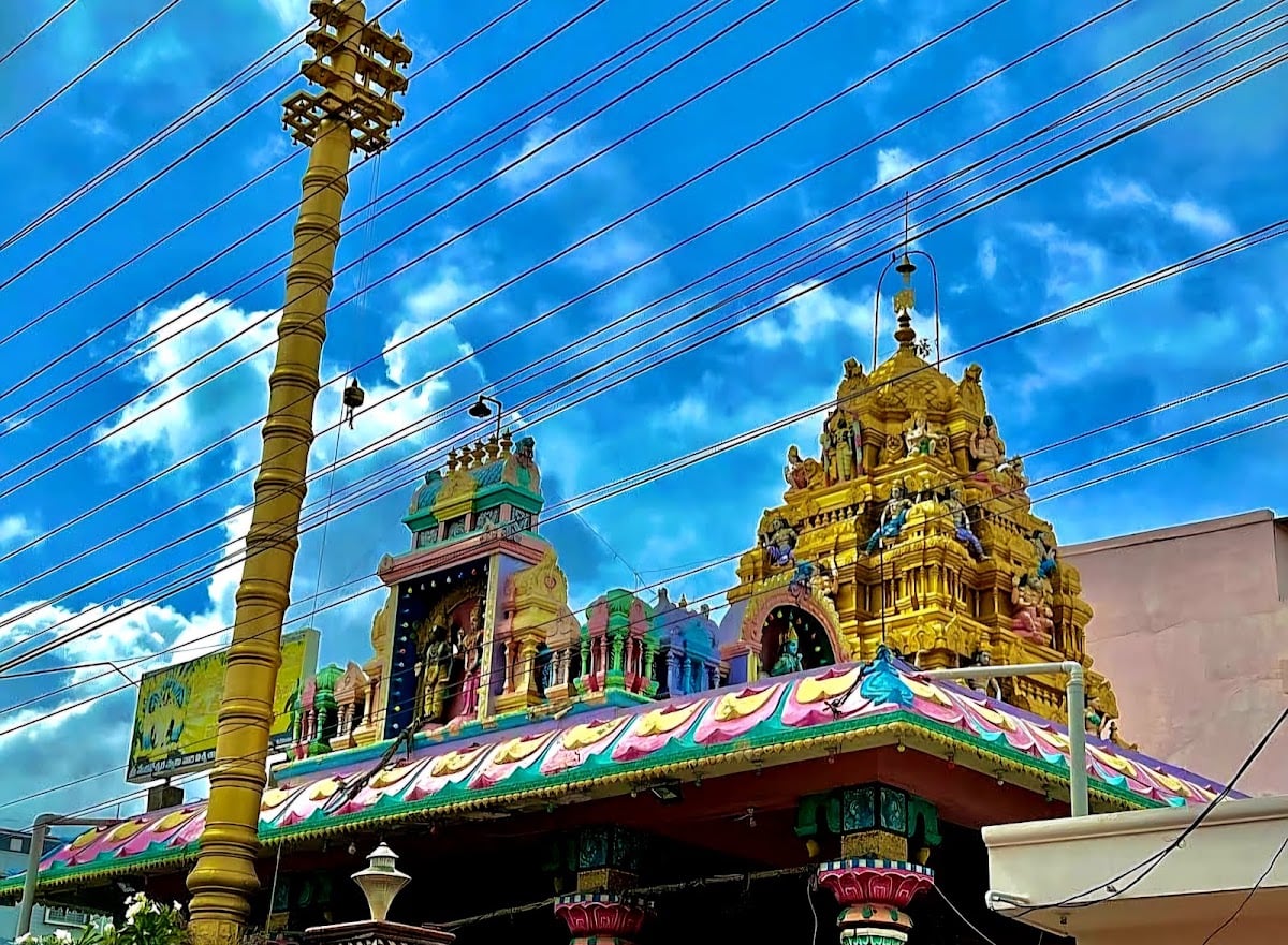 Sri Lakshmi Padmavathi Sametha Venkateswara Swamy Devasthanam — photo by Rohith Katikala