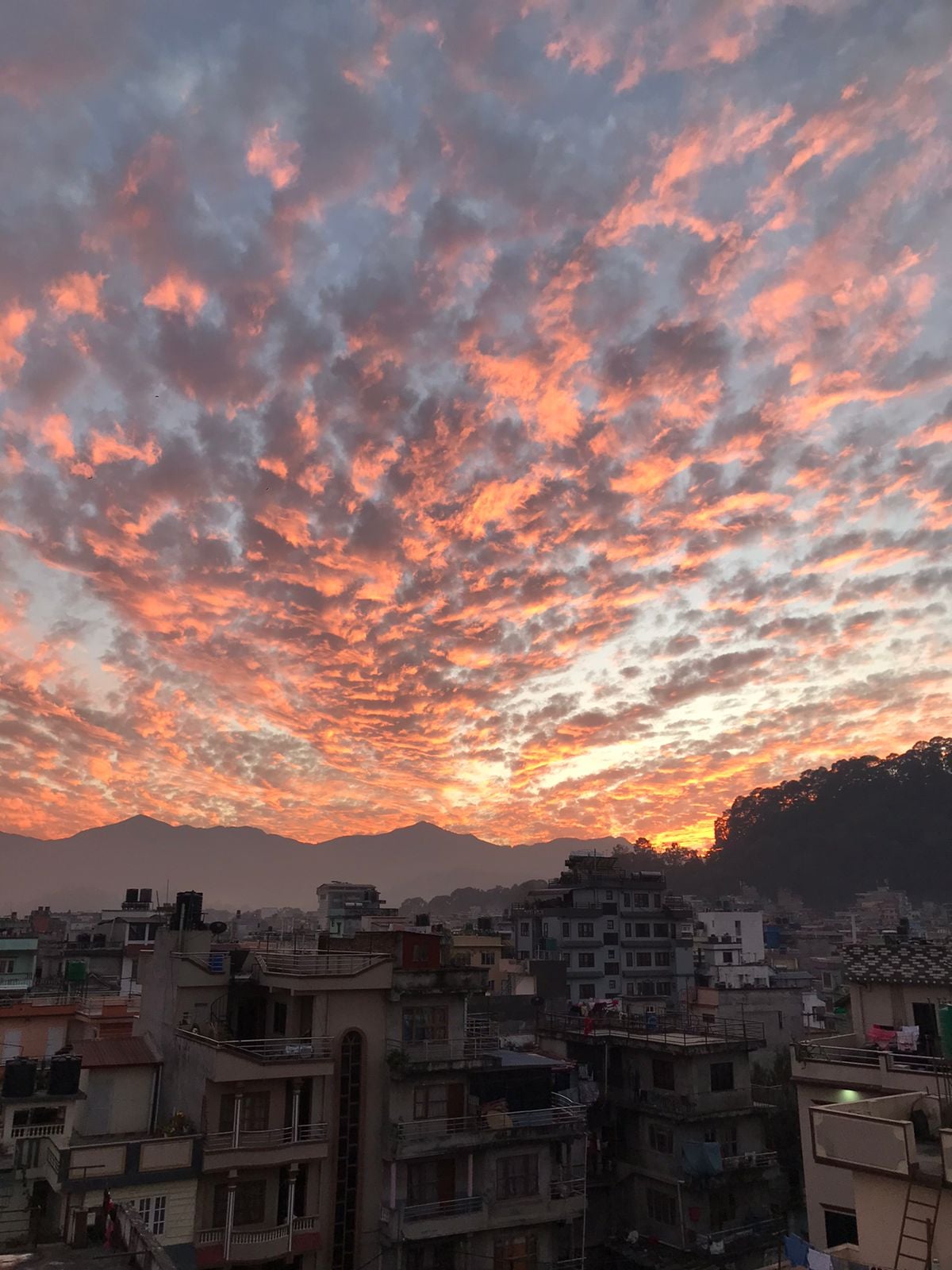 Subarashii Center Boys Hostel — photo by समुन्द्र कुँवर