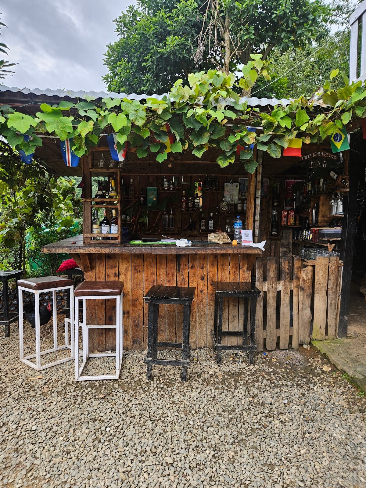 Trees Diner Restro — photo by Nikesh Ranabhat
