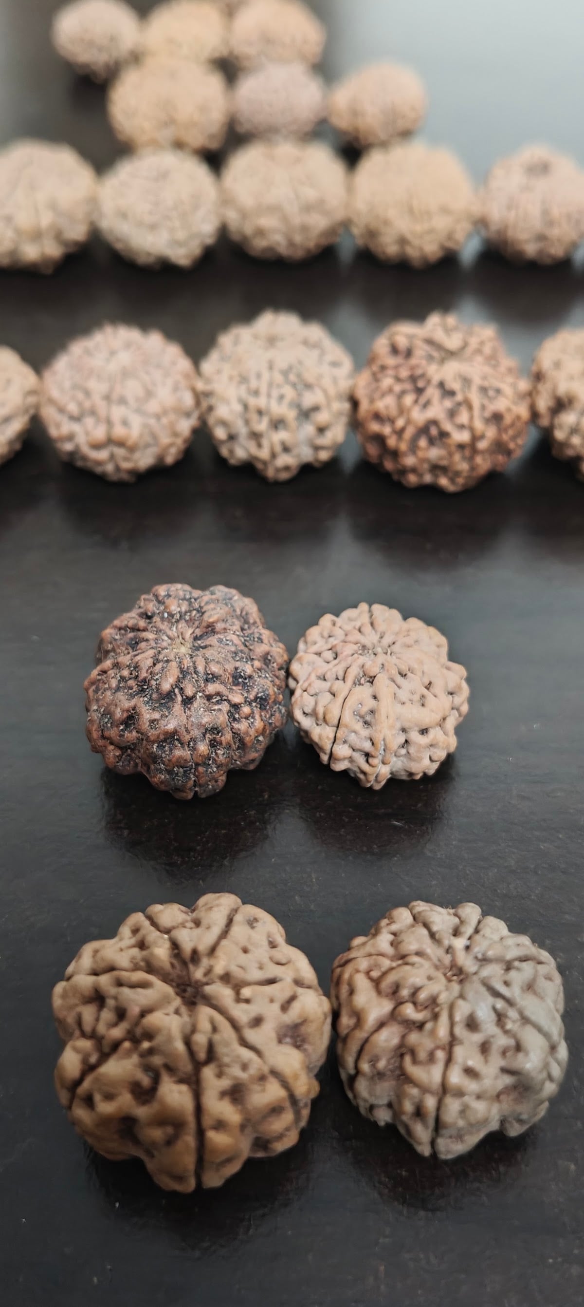 Vedic Rudraksha Gems — photo by Vedic Rudraksha Mala