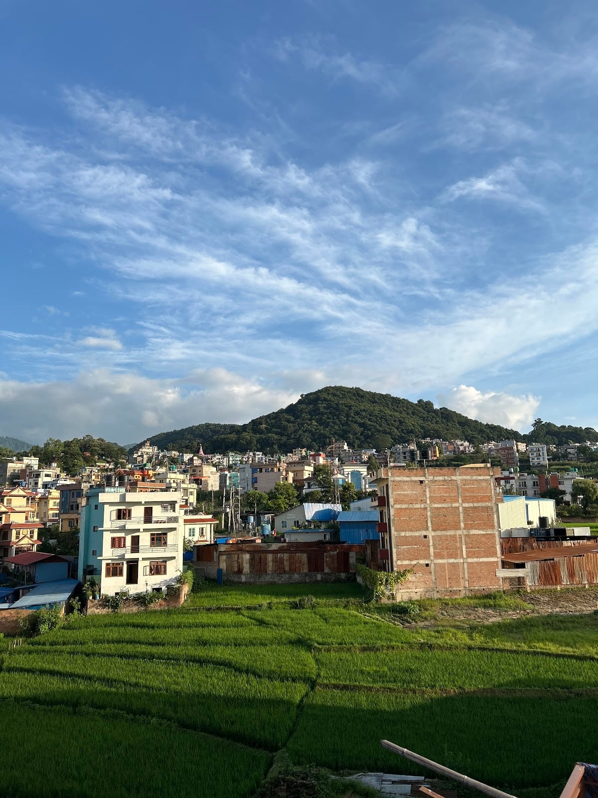 Yatra Chhen — photo by Yatra Chhen