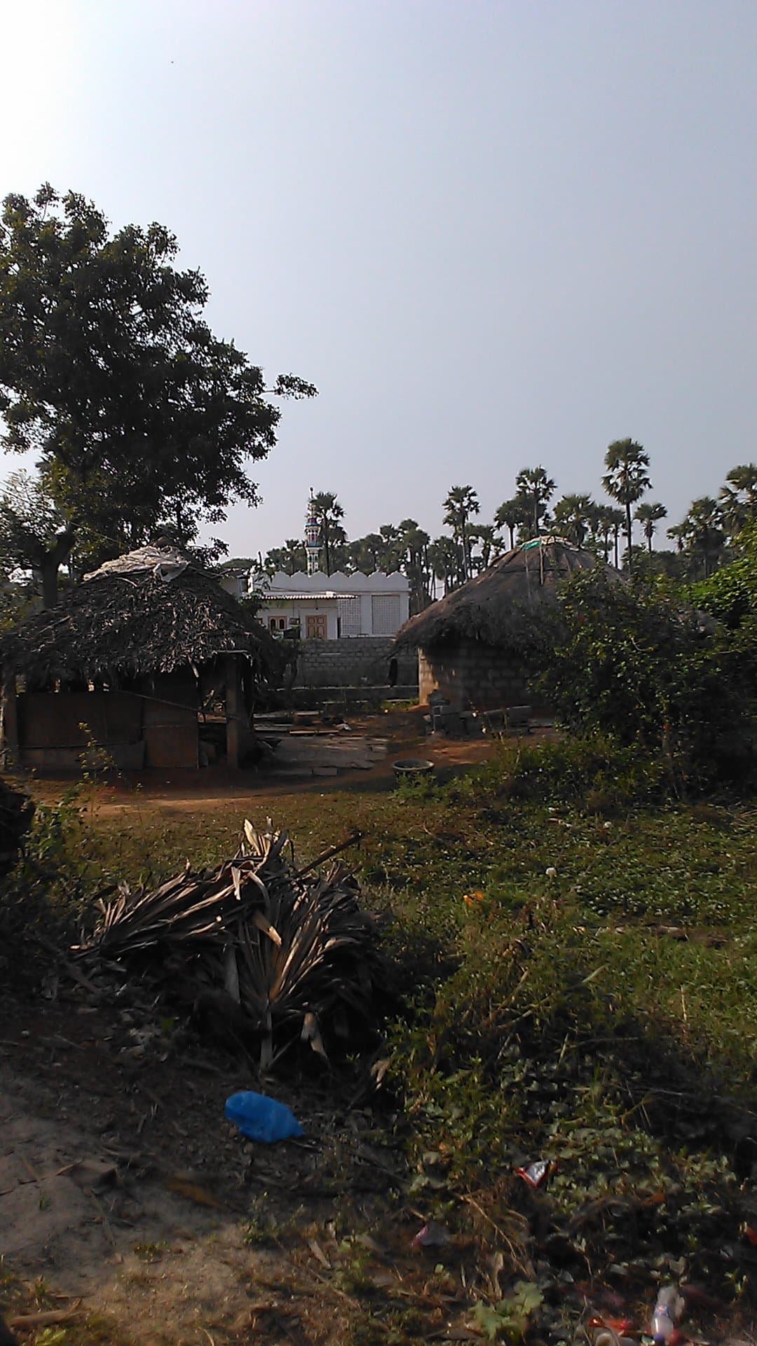 AMEER BASHA MASJID — photo by Gopi krishna reddy Aalla