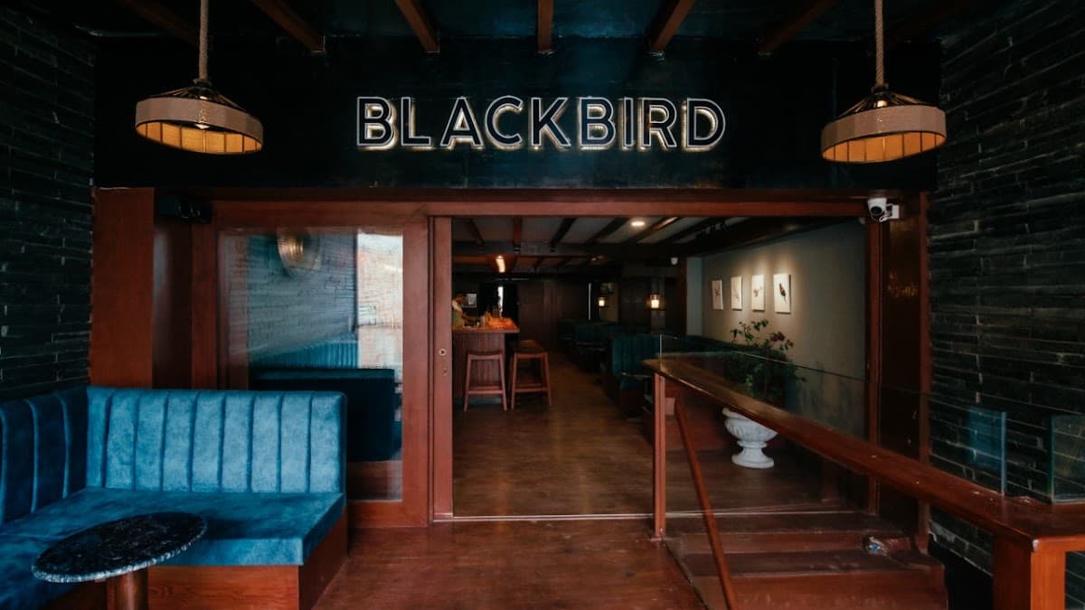 BlackBird — photo by BlackBird