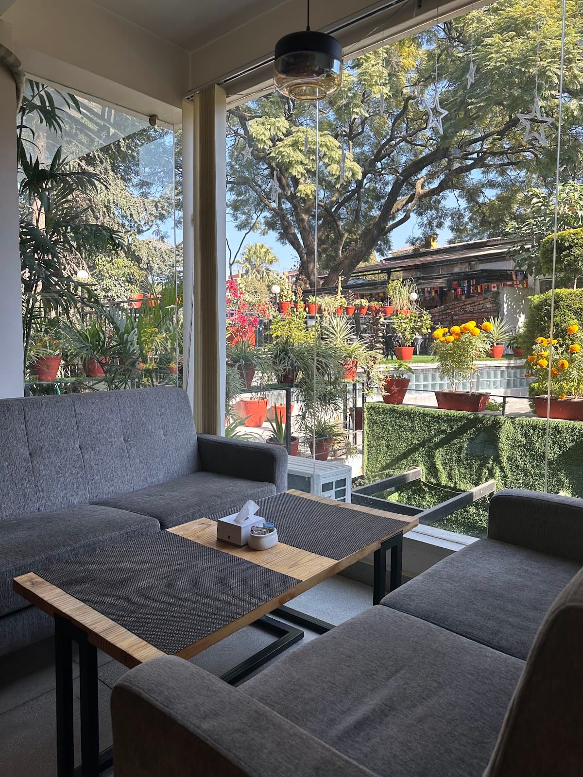 Café Cavado — photo by Café Cavado