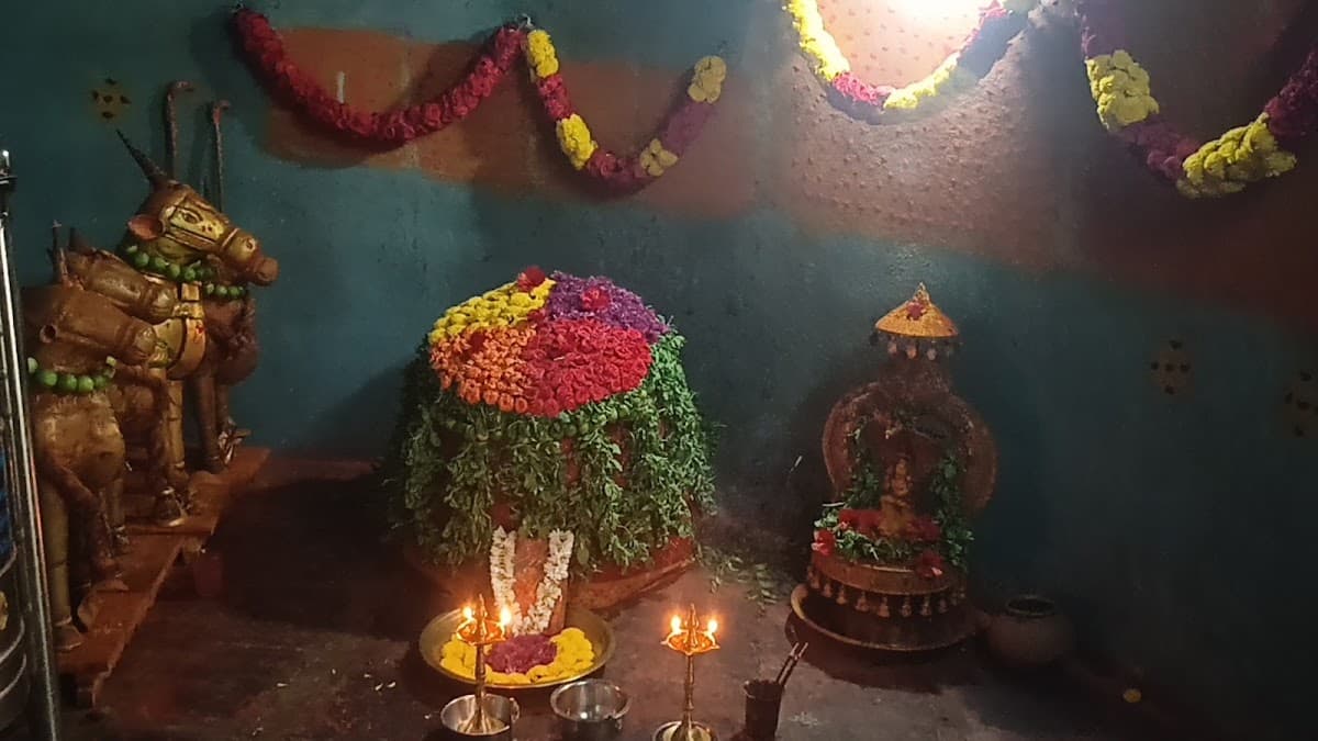 GangammaThalli yanamadala — photo by sudakar pasupuleti