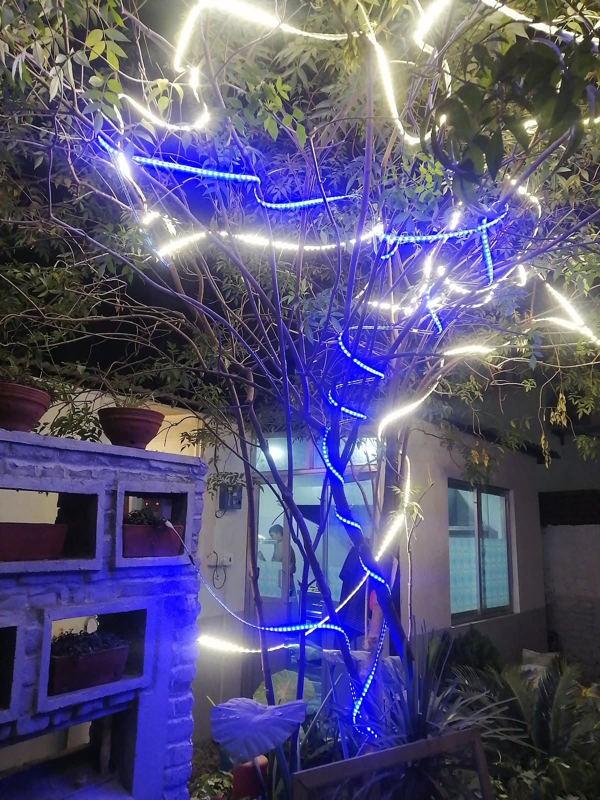 Garden House Grill & Bar — photo by sunil magar