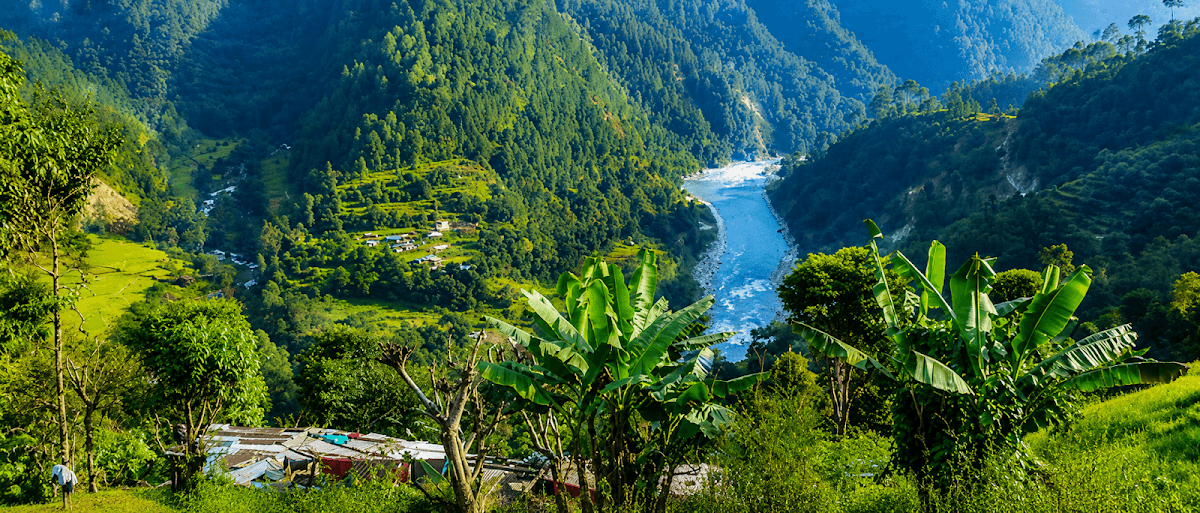 Jhyaple Khola Ollo Kholcha — photo by Amrit Khadka