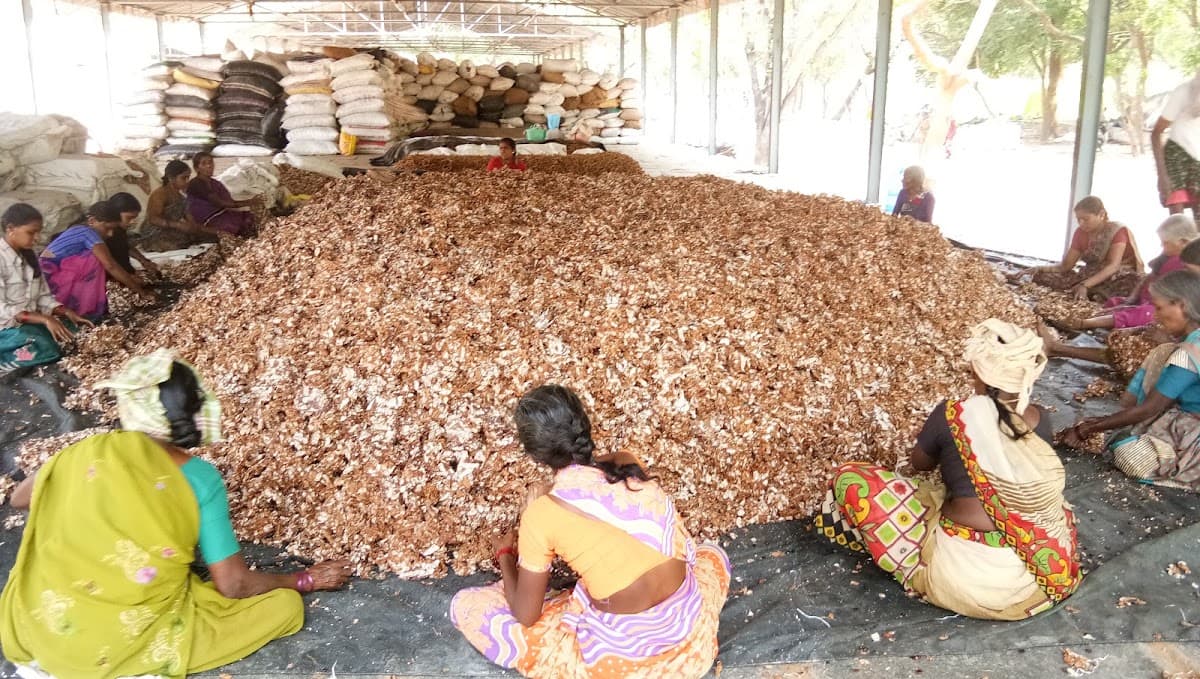 Kadiri Market Yard — photo by H Mahaboob Basha