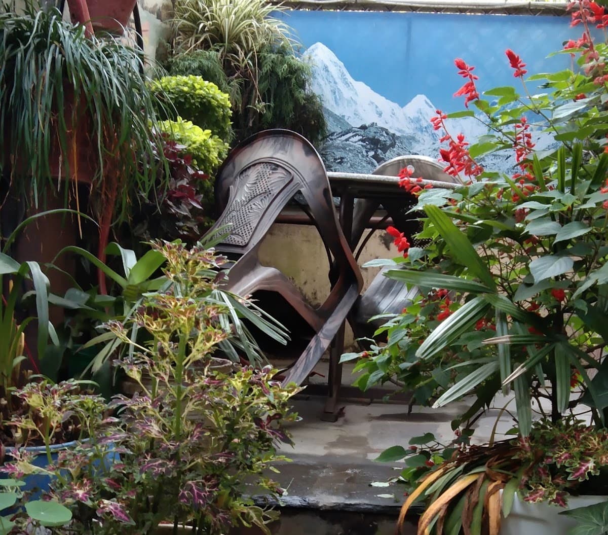 Kathmandu Peace Guest House — photo by Kathmandu Peace Guest House