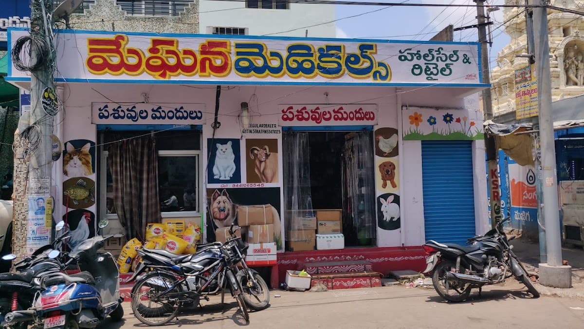 Meghana Medicals — photo by Meghana Medicals