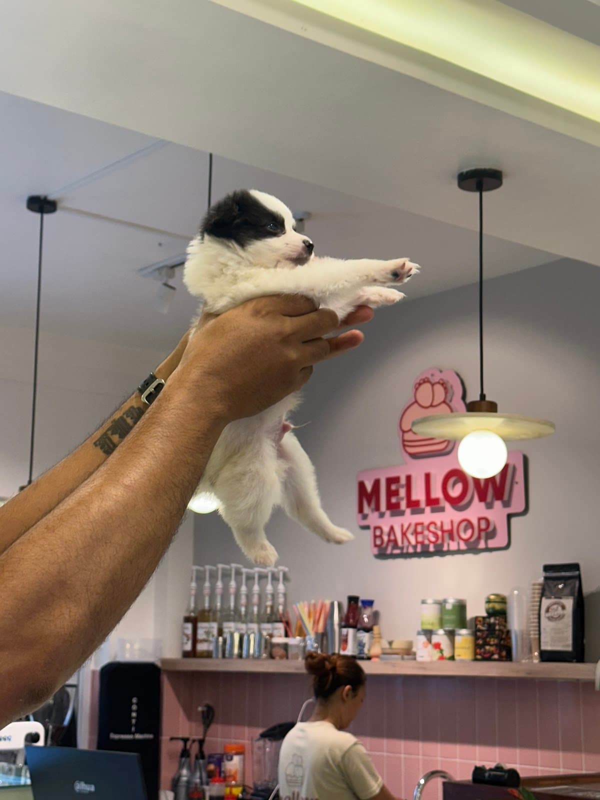 Mellow Bakeshop — photo by Mellow Bakeshop