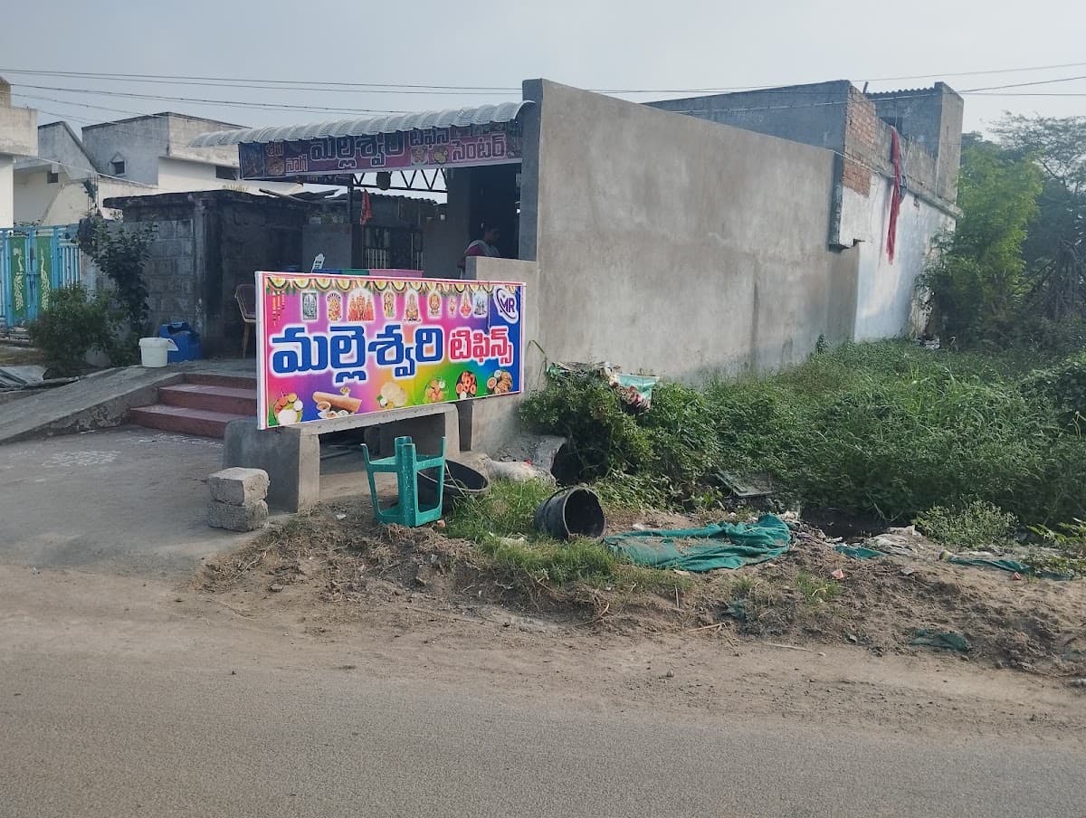 MR Malleswari — photo by Ravi Mannem (MR)