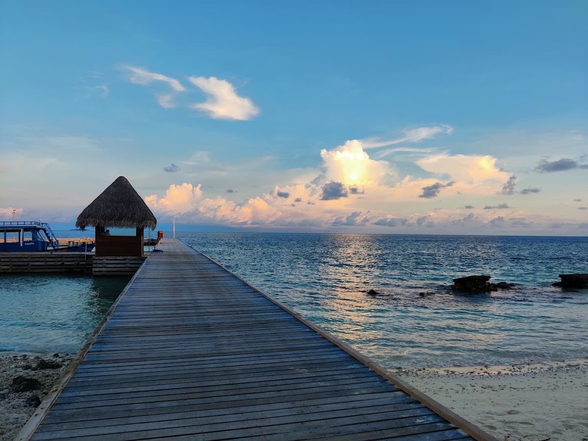 OHolidays — photo by Yannam Ramya