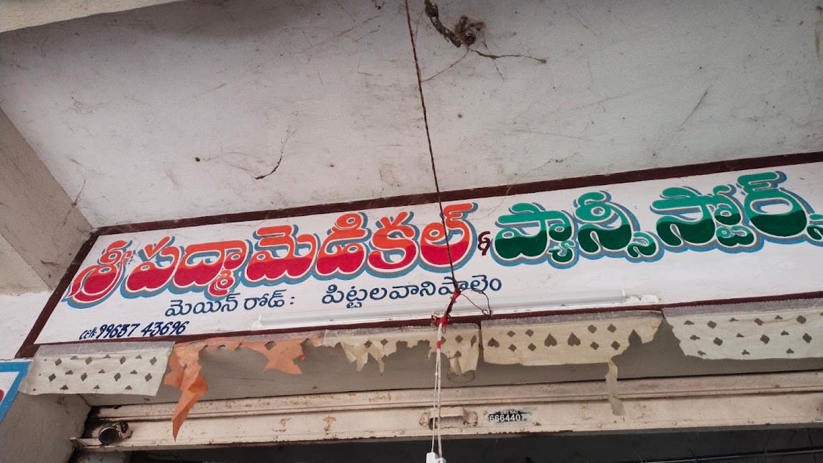 Padma Medicals@Fancy Stores — photo by Padma Medicals@Fancy Stores