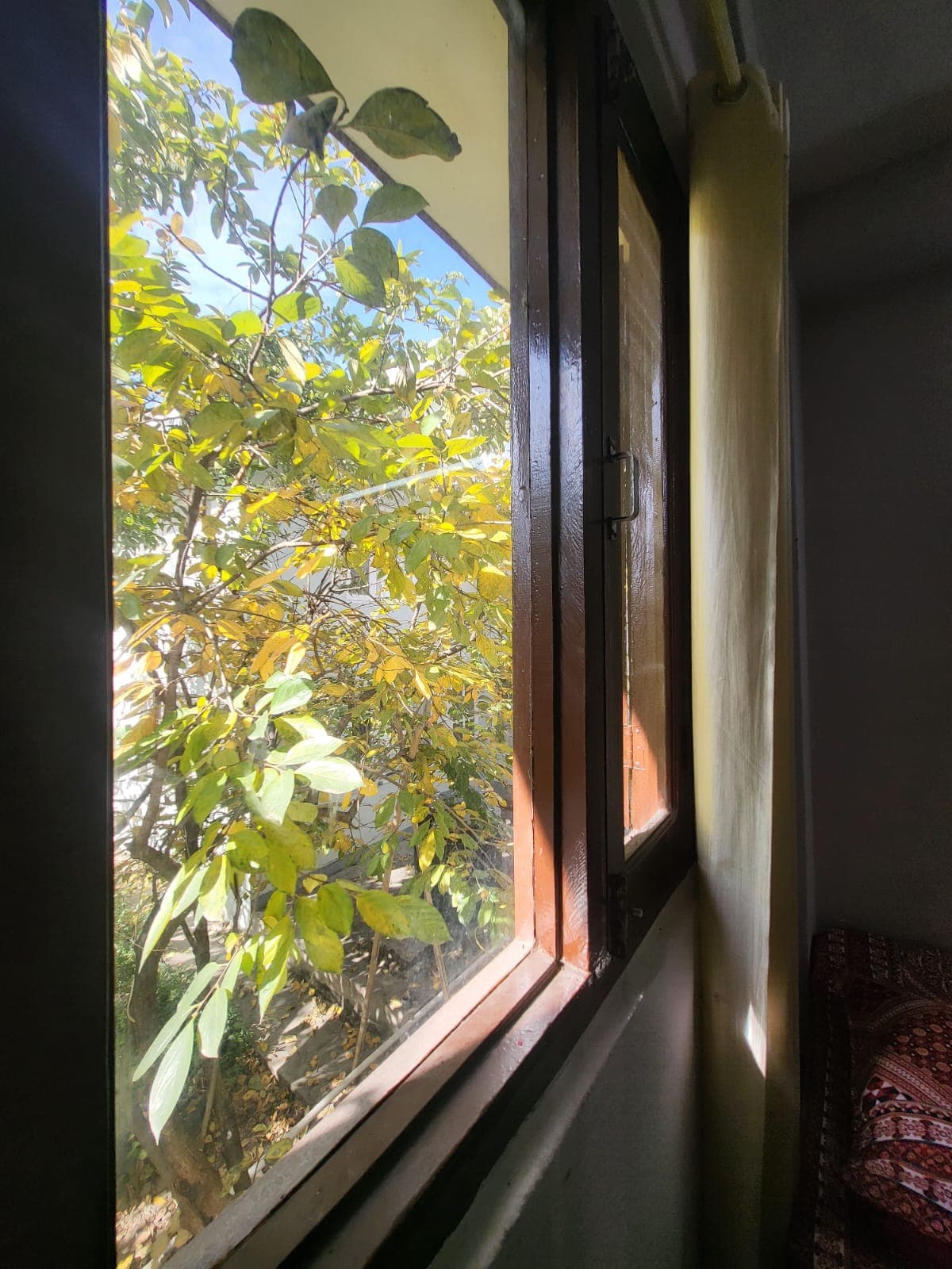 Queensland Girls Hostel Block B — photo by Queensland Girls Hostel Block B