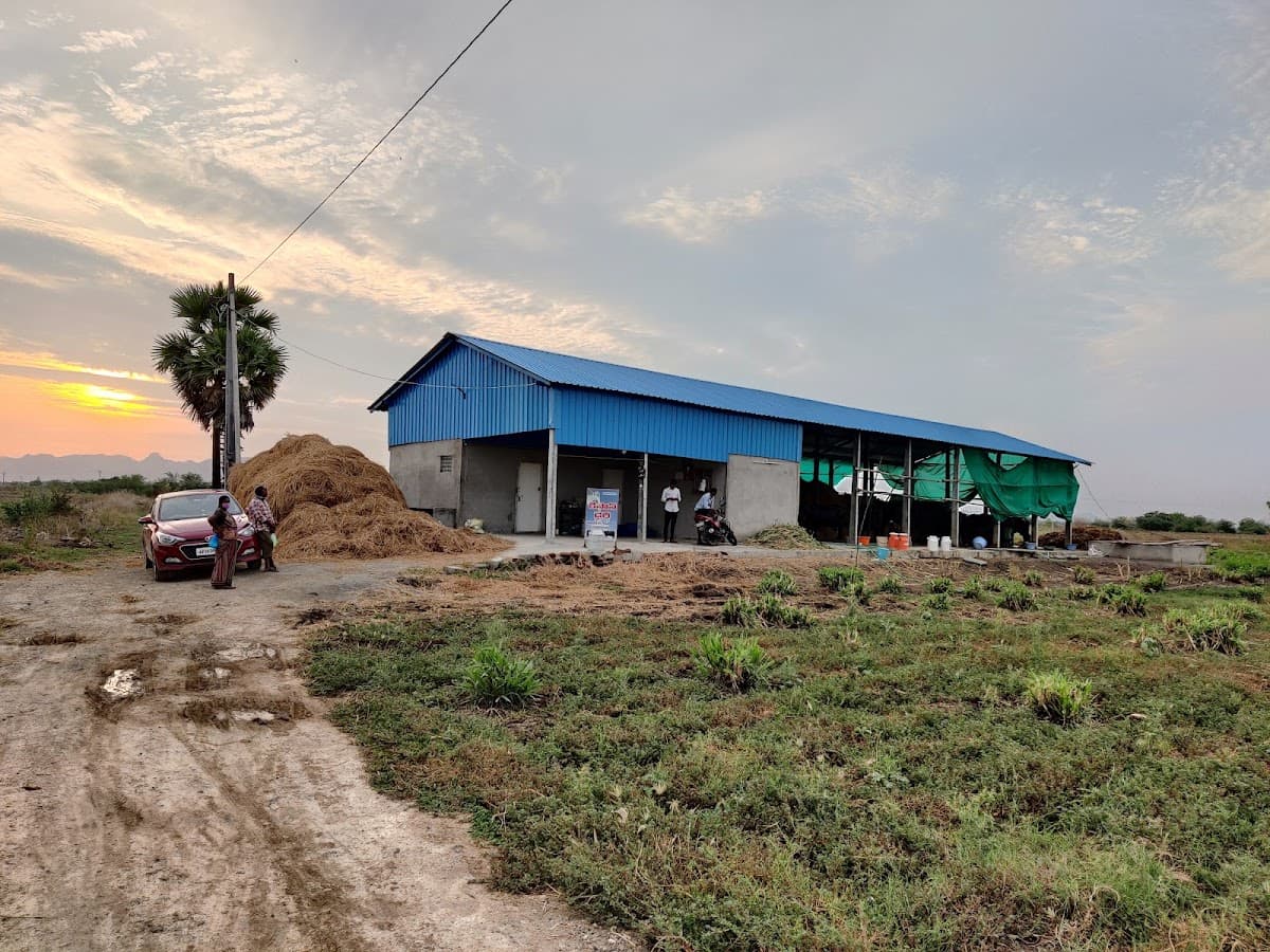 S S Milk Dairy — photo by Kisan Dairy