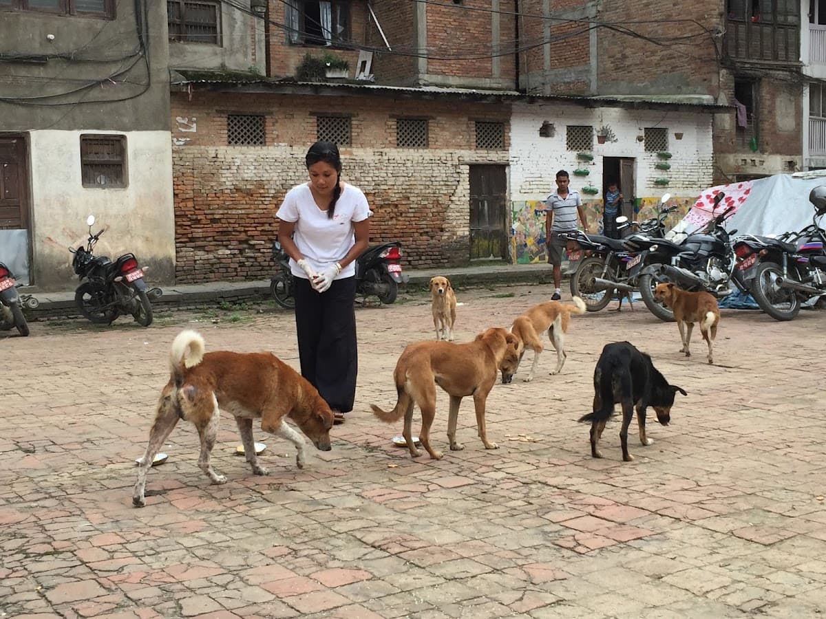 Sneha's Care. — photo by Sneha's Care