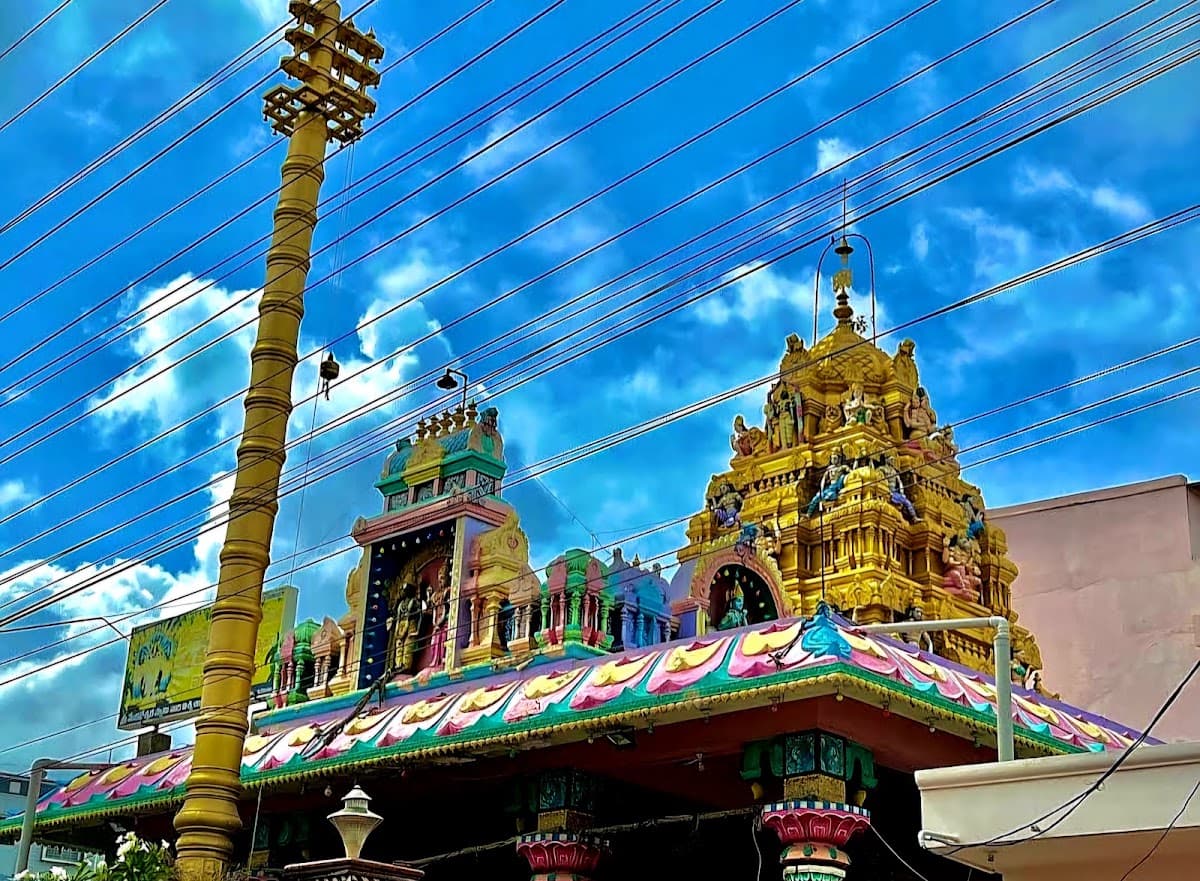 Sri Lakshmi Padmavathi Sametha Venkateswara Swamy Devasthanam — photo by Rohith Katikala