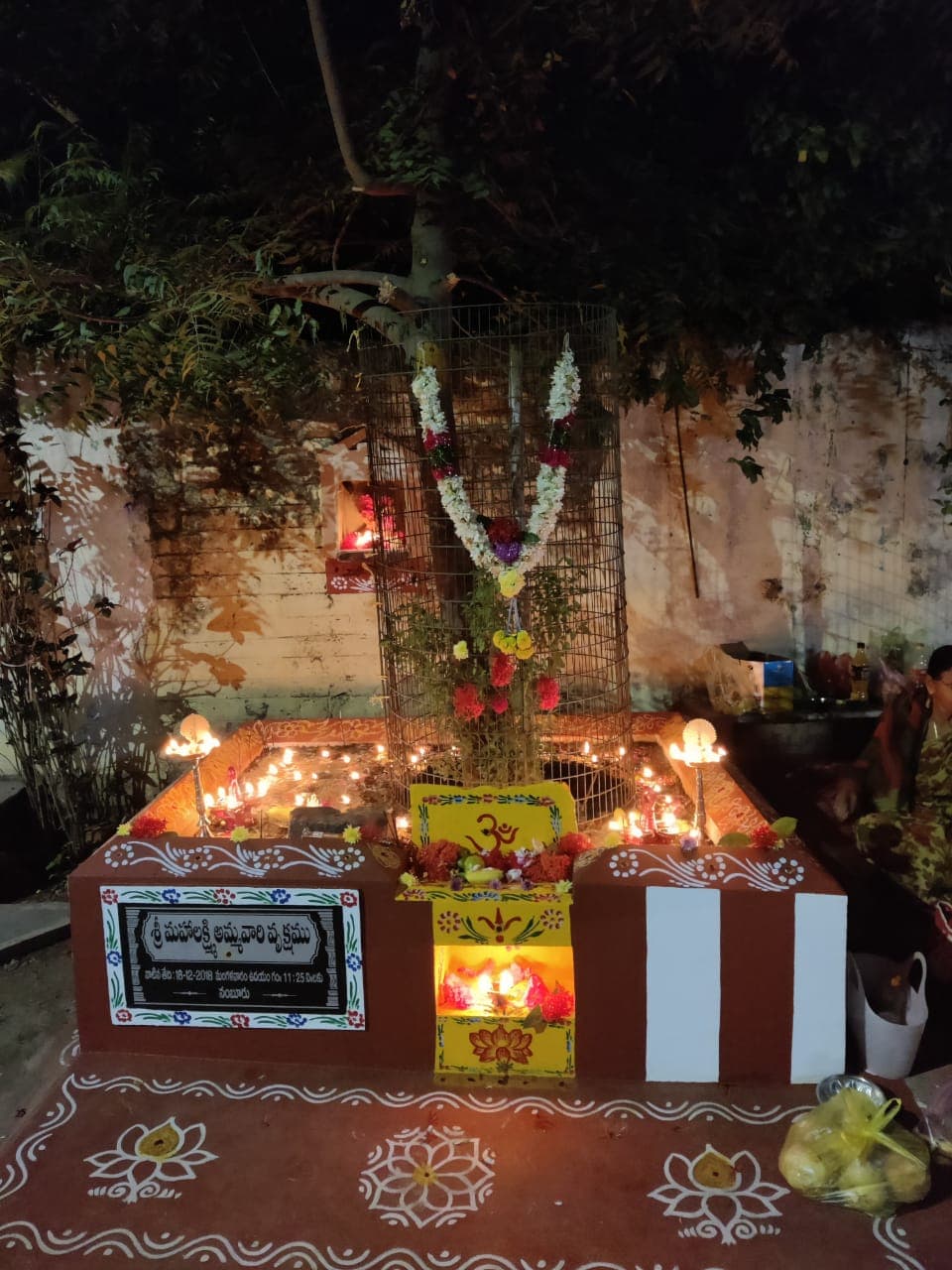 Sri Mahalakshmi tree — photo by Padmaja Penugonda