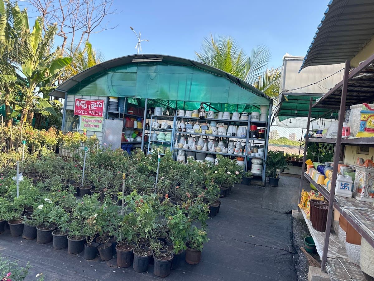 Sri Manikanta Nursery & Organics — photo by Rajesh Roshan