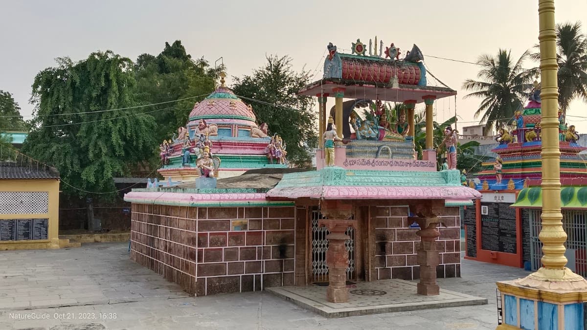 Sri Pandu Ranga Swamy Temple — photo by Nature Guide