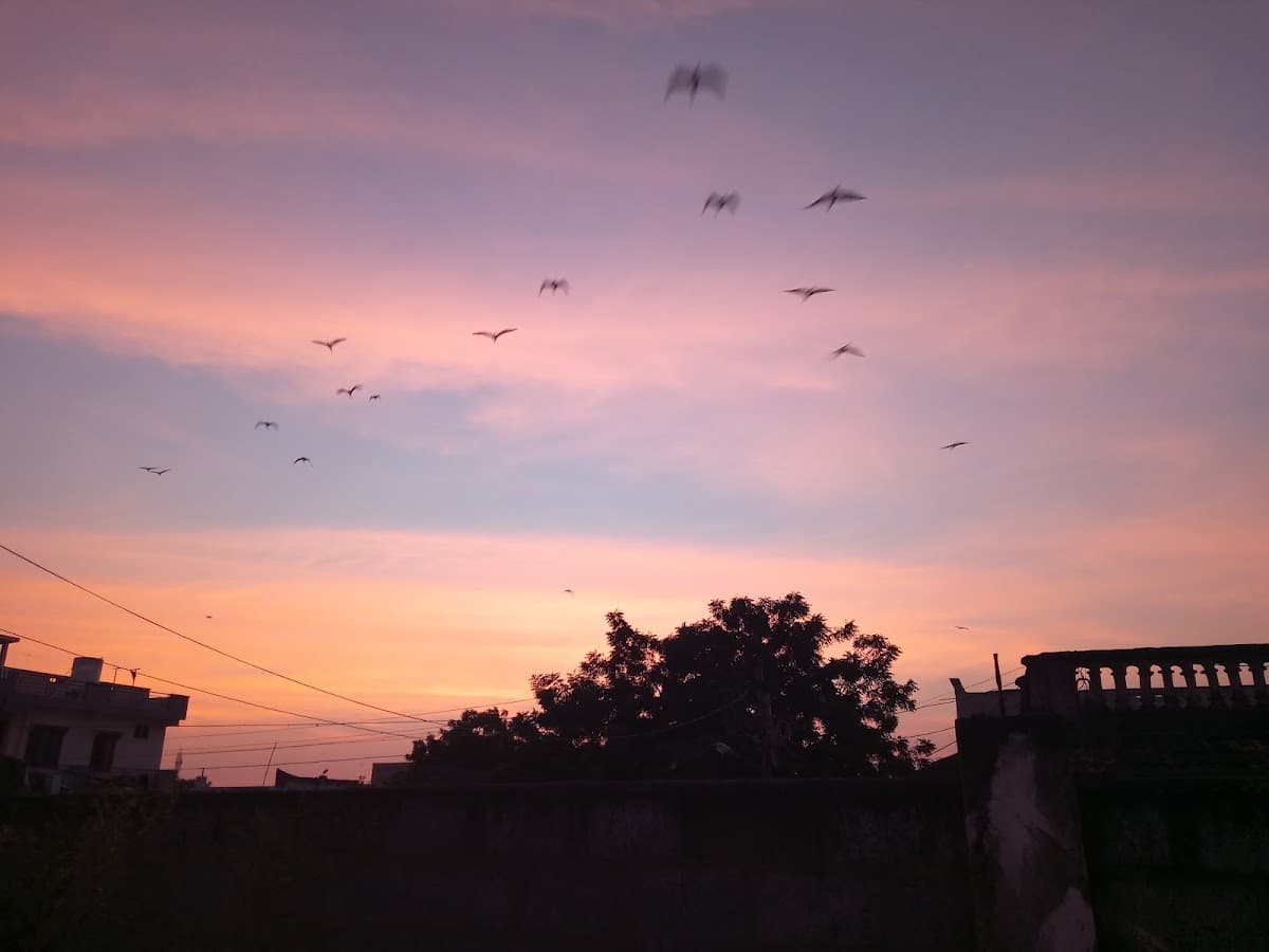 Sri Ramalayam — photo by Narendra T