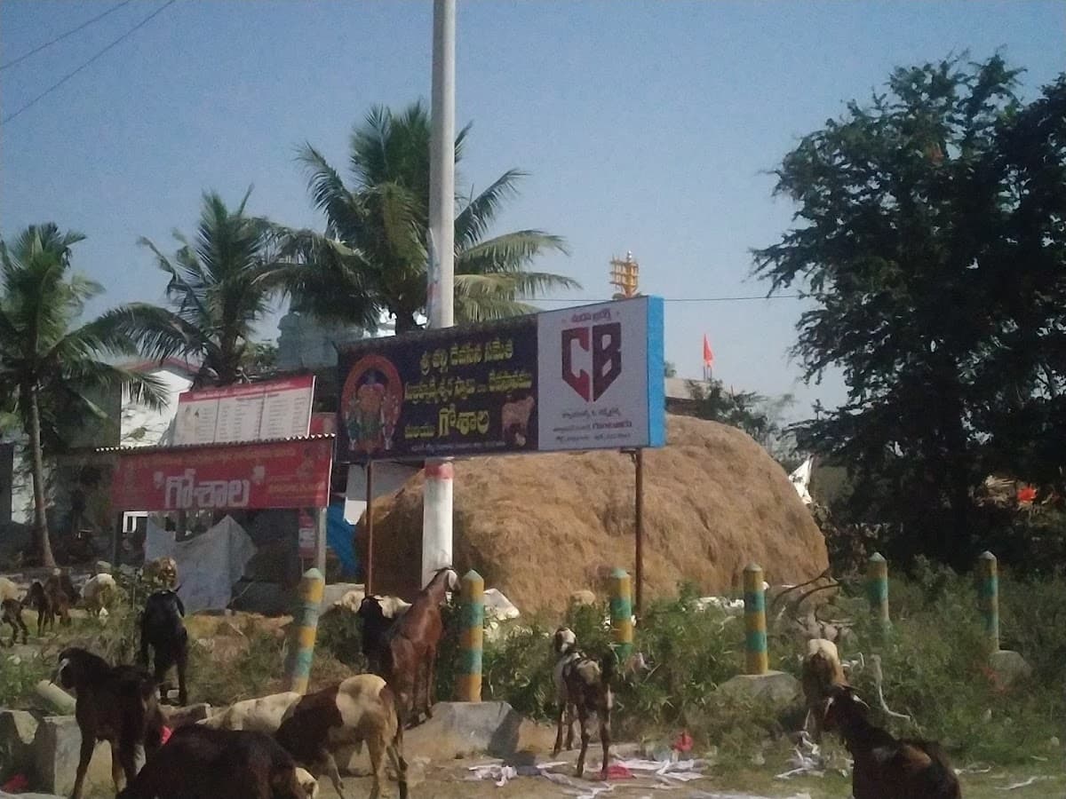 Sri Valli Devasena Sametha Subhramanyeswara Swami Temple — photo by Santhosh Kumar Athaluri